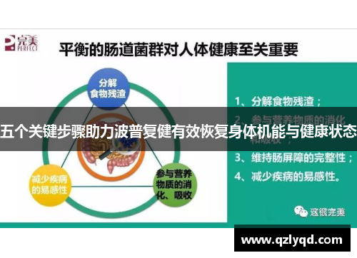 五个关键步骤助力波普复健有效恢复身体机能与健康状态 五个关键步骤助力波普复健有效恢复身体机能与健康状态